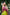 Lavish Green Banarasi Silk Saree