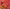 Cantaloupe Red Banarasi Silk Saree