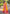 Yellow Soft Silk Floral Border Contrast Zari Woven Saree