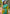 Mehendi Green Soft Silk Floral Border Zari Woven Saree