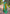 Mehendi Green Soft Silk Floral Border Zari Woven Saree