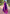 Violet Soft Silk Floral Border Zari Woven Saree