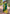 Dark Green Soft Silk Floral Border Zari Woven Saree