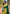 Dark Green Soft Silk Floral Border Zari Woven Saree