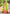 Parrot Green Contrast Zari Woven Chaand Yeola Paithani Silk Saree