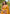 Yellow Original Maharashtrian Meenakari Yeola Paithani Silk Zari Woven Saree