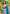 Cyan Blue Original Maharashtrian Meenakari Yeola Paithani Silk Zari Woven Saree