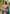 Green Original Maharashtrian Meenakari Yeola Paithani Silk Zari Woven Saree