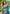 Cyan Blue Soft Silk Contrast Zari Woven Saree