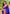 Indigo Blue Soft Silk Contrast Zari Woven Saree