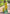 Mehendi Green Soft Silk Contrast Zari Woven Saree