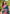 Green Soft Silk Contrast Zari Woven Saree
