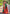 Leaf Green Soft Silk Contrast Zari Woven Saree