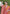 Orange Colour Soft Kashmiri Silk Saree Wiht Zari Woven