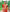 Vermeil Red Banarasi Silk Saree