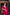 Impressive Dark Pink Soft Silk Saree