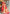 Taffy Pink Banarasi Silk Saree