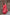 Taffy Pink Banarasi Silk Saree