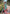 Sea Green Kanchipuram Tissue Silk Traditional Zari Woven Saree