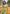 Yellow Kanchipuram Tissue Silk Traditional Zari Woven Saree