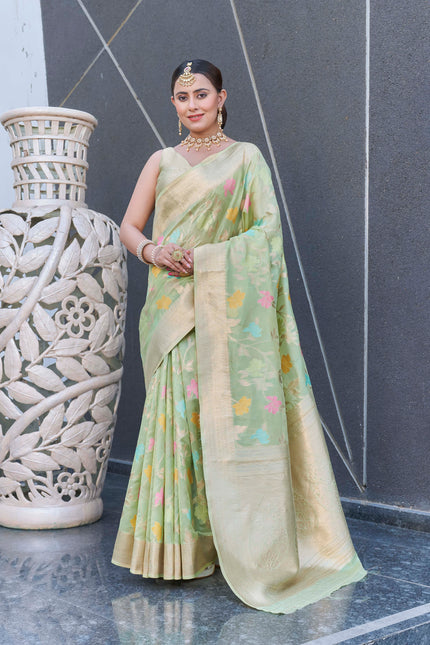 Pastel Green Organza Jaal Zari Woven Saree