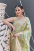 Pastel Green Organza Jaal Zari Woven Saree