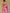 Knyaa's PC2 Onion Pink Banarasi SIlk Saree With Nouveau Attached Blouse