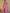 Knyaa's PC2 Onion Pink Banarasi SIlk Saree With Nouveau Attached Blouse