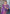 Kanchipuram Silk Jaal Rich Zari Woven Purple Colour Saree