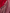 Rajvalli – Red Banarasi Tanchoi Floral Booti Mashru Silk Saree with Zari Border