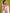 Serendipity White Soft Silk Saree