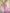 Incomparable Baby Pink Soft Silk Saree