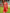 Foxy Red Banarasi Silk Saree