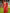 Foxy Red Banarasi Silk Saree