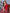 Red Bandhani Print Silk Saree with Patola Pallu Design