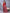 Red Bandhani Print Silk Saree with Patola Pallu Design