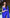 Royal Blue Georgette Saree with Sequin Border