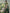 Traditional Green Checks Silk Saree with Temple Border