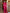 Banarasi Crimson Ruby Silk Saree with Gold Zari Weave