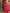 Banarasi Crimson Red Silk Saree with Gold Zari Weave