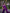 Purple Kanjivaram Silk Saree with Gold Zari Buttas