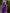 Purple Kanjivaram Silk Saree with Gold Zari Buttas