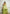 Green Handwoven Cotton Silk Saree with Zari Border