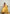 Lemon Yellow Handwoven Cotton Silk Saree with Zari Border