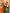 Deep Bottle Green Silk Saree with Zari Floral Vine & Tassel Pallu