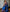 Royal Blue Raw Silk Saree with Copper Zari Border