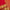 Pure Red Kanjivaram Saree with Golden Deer Motifs