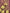 Royal Purple Banarasi Saree with Antique Zari Weave