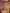 Royal Purple Banarasi Saree with Antique Zari Weave