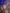 Royal Blue Kanjivaram Silk Saree with Golden Zari Floral Weave
